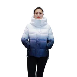 China FODARLLOY F21377 Ladies Warm Hooded Cotton-padded Clothes Women Slim Long Winter Jackets Women Coats wholesale