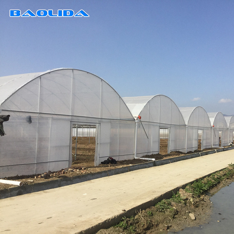 Plastic Film Vegetables Growing Agricultural 200 Micron PE Film Multispan Greenhouse
