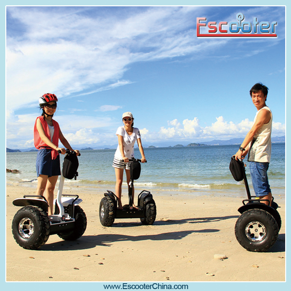 New Imported engine electric scooter standing balancing scooter windrover V5+ 2015