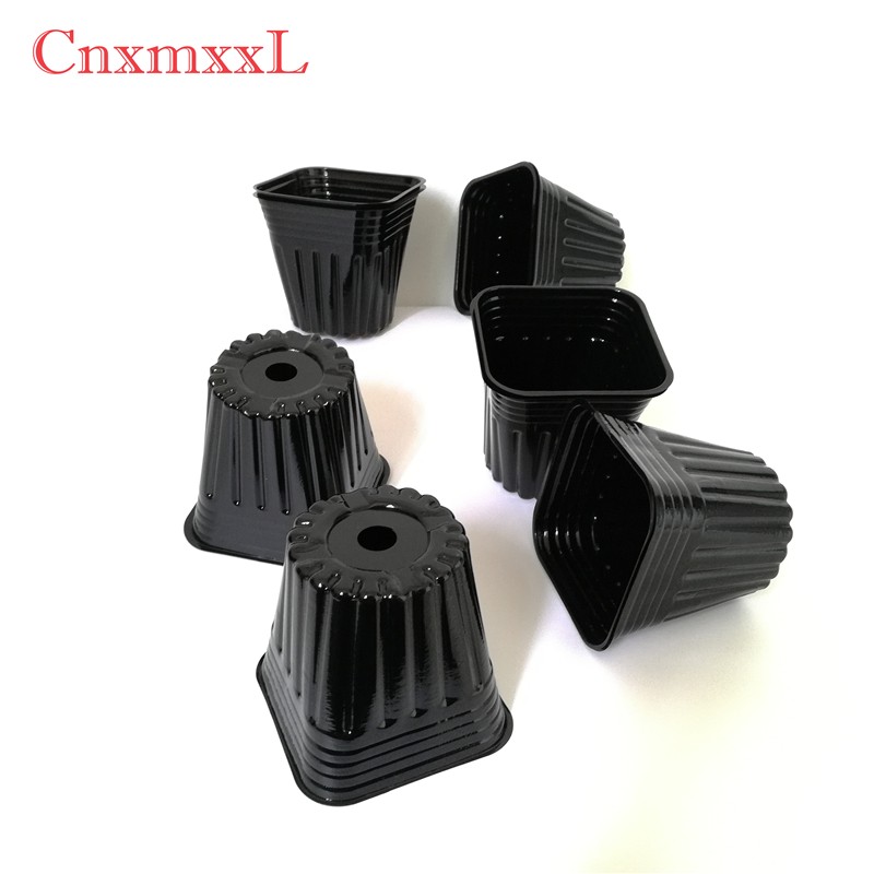high quality forest seedling tray