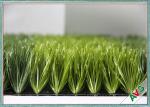 11000 Dtex Save Water Synthetic Grass Lawns , Monofilament PE Artificial