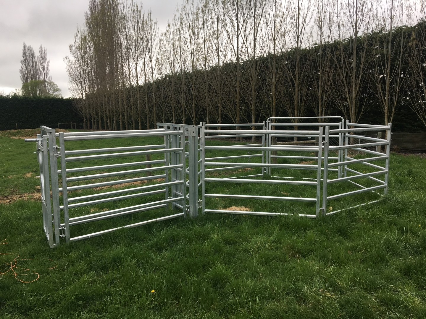 12ft Farm Sheep Metal Fence Panels Cattle 4ft-6ft Livestock