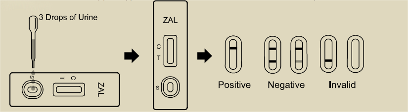 Zaleplon Drug Abuse Test Kit Urine ZAL Detection Sedative-Hypnotic