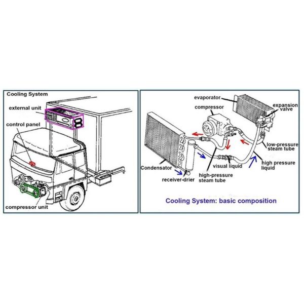 HOWO Carrier Frozen Meat Transport Refrigerated Freezr Refrigerator Van Refrigeration Units Vehicle