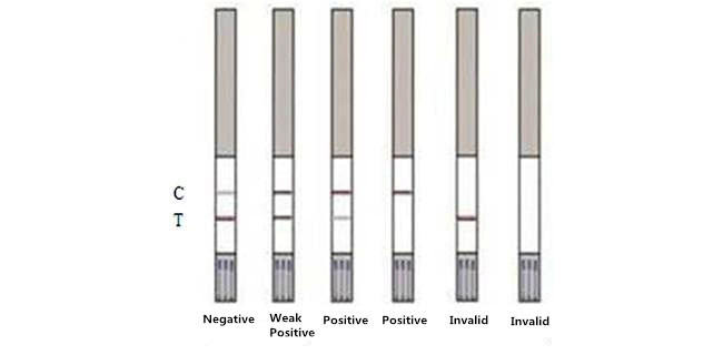 Streptomycin Food Safety Rapid Test Kit 5min 96 Tests/Kit For Fresh Milk Powder