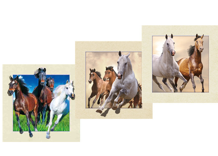 Office / Hotel Decoration Animal Picture 5d Lenticular Picture With Frame