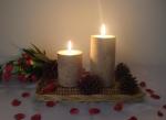 3X4"3X6" inch 100% natural bark decor candle with growth ring