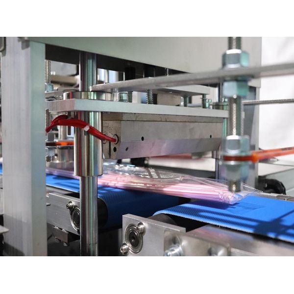 800+ PC Per Minute High Speed Aromatic Sticks Counting Packing Machine Bulk Pack Line