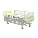Two Cranks ABS Plastic Hospital Nursing Bed For ICU