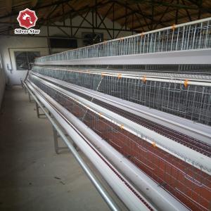China Egg Laying Chicken Cage With Full Automatic System wholesale