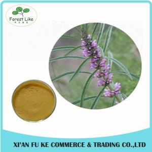 China Clear Heart and Regulate Menses Natural Motherwort Herb Extract wholesale