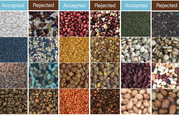 10 Chute CCD Image Grain Sorter Machine