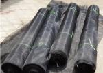 Black UV Resistant Crop Insect Net for Agriculture