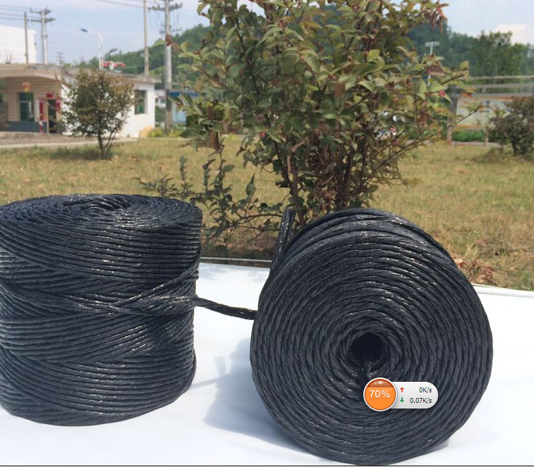 2mm Agriculture UV Treated Hay Baling Twine with ISO Certificate High Tenacity PP baler twine