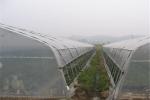 Professional Precision Insect Mesh Netting For Agriculture Greenhouse