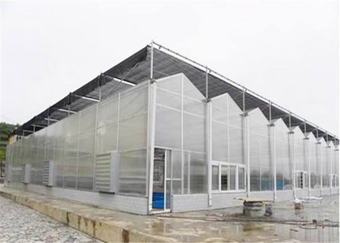 Eco Friendly Materials PC Sheet Greenhouse 50 Micron UV Thickness Design