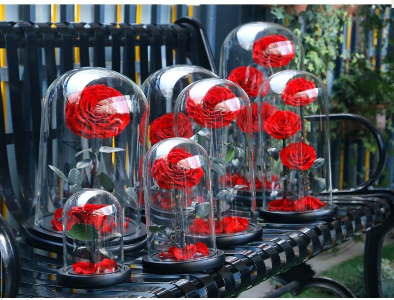 Best Valentines Day Gifts Multiple Colours Preserved Everlasting Real Rose Flower in Glass Dome