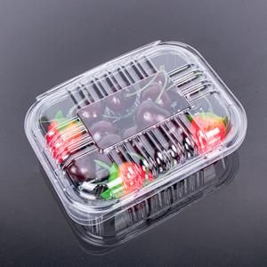 China Clamshell Disposable Fruit Box wholesale