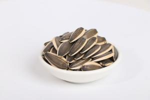 China Sunflower Seeds 363 wholesale