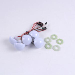 China Hemisphere Opal Mask 53mm Led Amusement Light DC12V 2W Amusement Led Pixel Light Waterproof wholesale