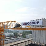 70m Boom Tower Crane Hoist 16 Ton Self Raising