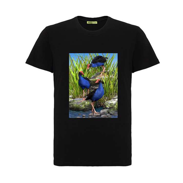 PSD 3D TPU Lenticular Image Printing / 3D Lenticular Photography