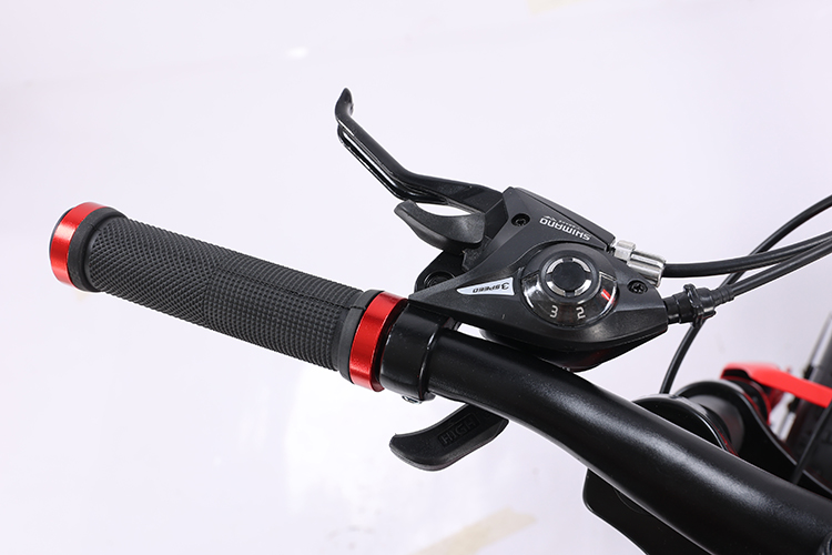 200kg Load Capacity Full Suspension Mountain Cycle Bicycle OEM Customizable Fat Tire Bike for Snow and Mountain Terrain