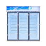 5 Layers Shelves Silver Champagne Color Glass Door Freezer For Frozen Sea Food