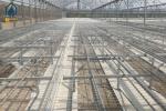 Agriculture Greenhouse Clone Seed Rolling Bench Grow Tables Welded Mesh