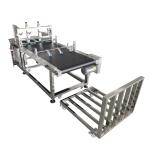 Corrugated Big Carton Feeder Machine Stainless Steel