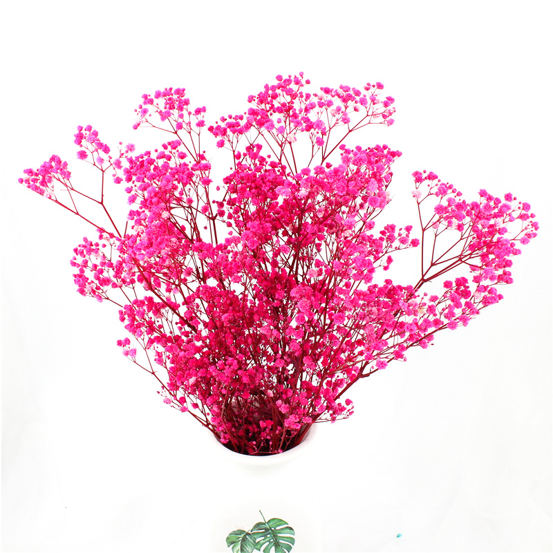 Home Decorations Everlasting Beautiful Dried Flowers Babys breath Preserved