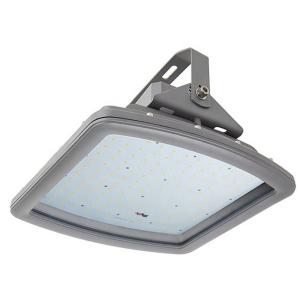 China 0.98 Led Explosion Proof Light Fixture 100W Meanwell Battery wholesale