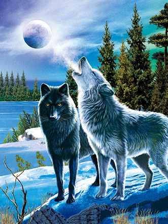 BSCI Lenticular 3D Pictures For Hotel Decoration / 3D Animals Photos