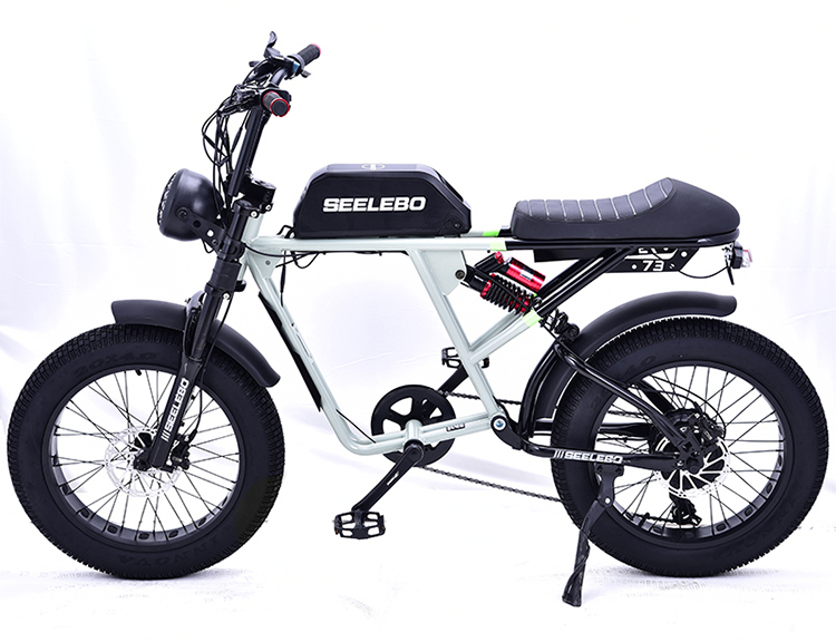 Electric Bicycle GOMID 750W 48V 20 Inch E Bike Mountain Fat Tire Ebike With High Power Motor