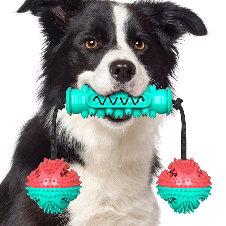 New Type Top Sale Eco-friendly Dog Toothbrush Toy Stick Rope Pet Molar Bite Ball Toys