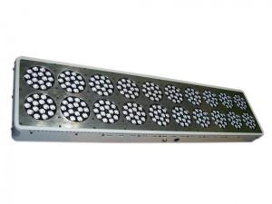 China netherlands led grow light 1000w/led grow light medical/plasma grow light wholesale