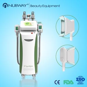 China Directly selling price Cryolipolysis Slimming Machine with high quality wholesale