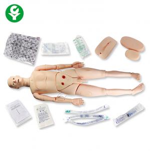 China Medical Manikins Simulators Nursing Training Teaching Support PVC Material wholesale