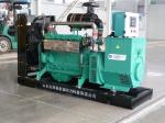 ISO Approved Biogas Natural Gas Generator with ATS