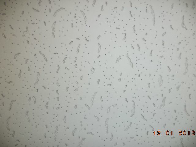 Acoustic Mineral Wool Fiber Drop Ceiling Tiles for Decorative Material