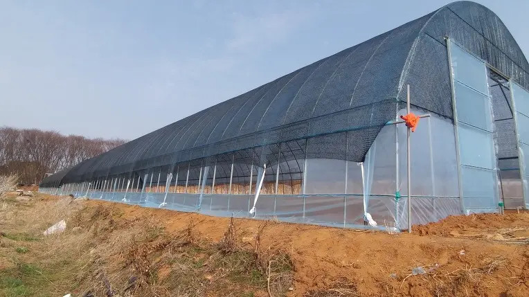 Anti Drip Plastic Film Greenhouse Light Transmission 80%-90%