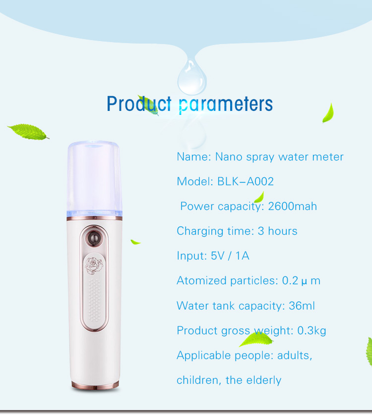 0.2 Um Ultra Fine Nano Facial Mister Fast Charge Power Bank OEM Service