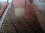 9mm 12mm 15mm 18mm 21mm brown film black film faced plywood marine plywood