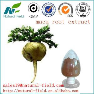 China Top quality maca extract wholesale
