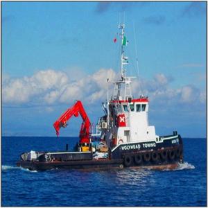 China Hydraulic Folding Knuckle Boom Marine Crane Marine Ship Crane wholesale