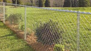 China 2.1mx10mx50x50mm galvanized steel vinyl coated chain link fence from &quot;. Victoria &quot; wholesale