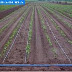 Automatic System Plants Growing Farming Rigger Greenhouse Drip Irrigation System