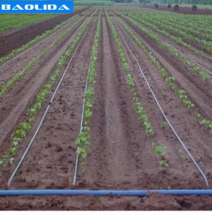 China Agriculture Trigger Drip Irrigation Parts Greenhouse Irrigation System For Greenhouse wholesale