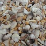 IQF Frozen Mixed Mushroon, blanched