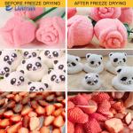 Commercial Food Freeze Dryer Pet Treat Yogurt Meat Freeze Dry Machine For Home